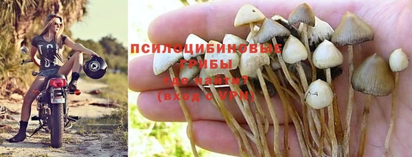 дурь Липки