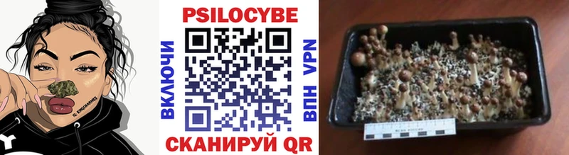 Псилоцибиновые грибы ЛСД  Купить закладки  Обнинск 